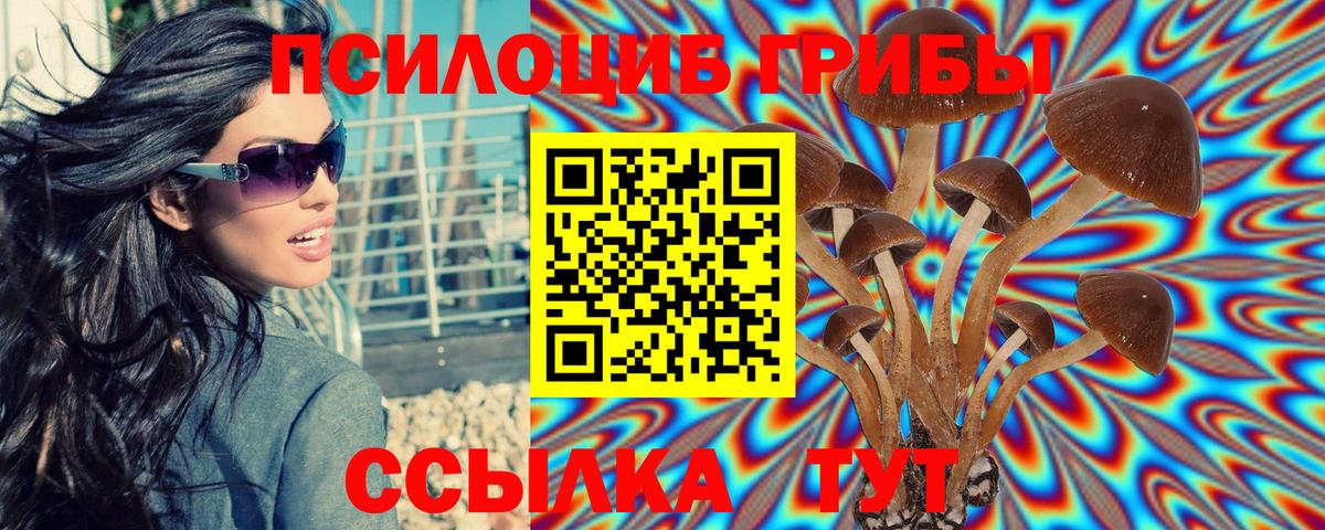 Галлюциногенные грибы мицелий Сегежа