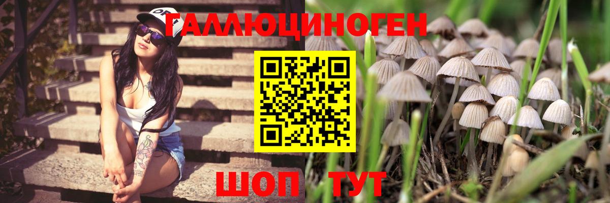 Сегежа  Псилоцибиновые грибы Magic Shrooms  Вход с VPN 